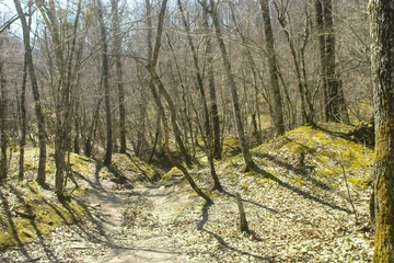 DSC02420.JPG
