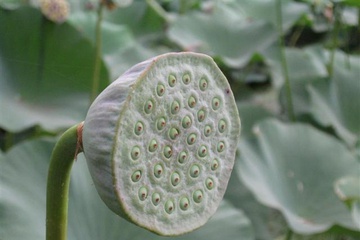 izobrazhenie_053_small.jpg