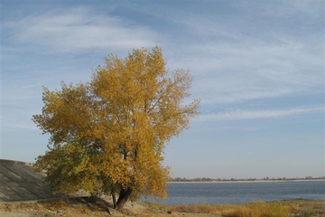 izobrazhenie_031_small.jpg