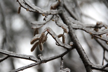 img_3611.jpg