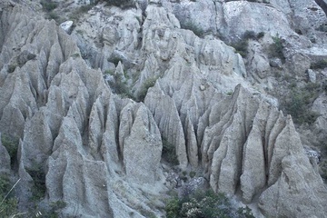 творение природы