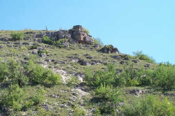 Image-01_20.jpg