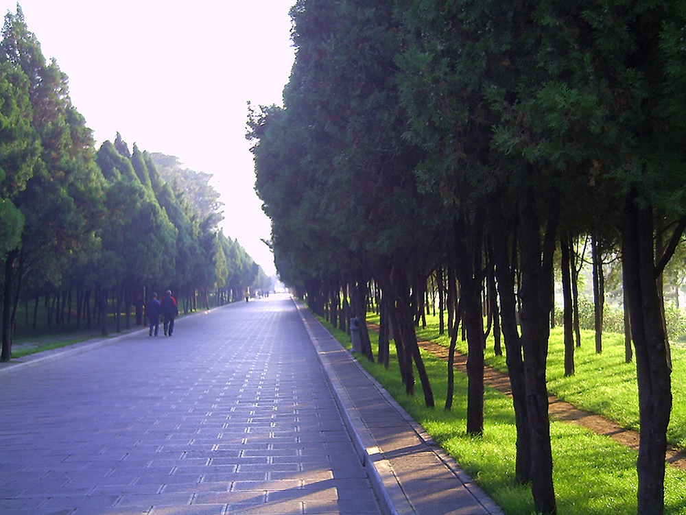 PICT0104.JPG