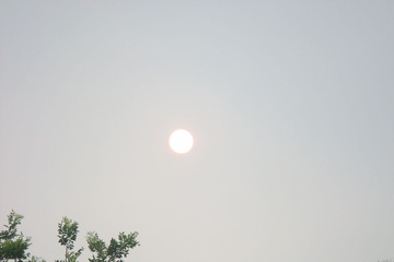 dsc06508.jpg