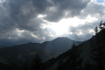IMG_0900.jpg