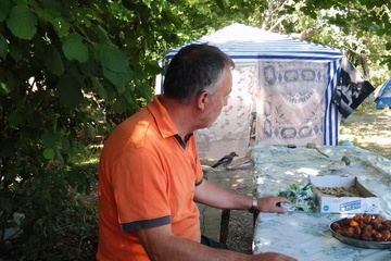 привет синица