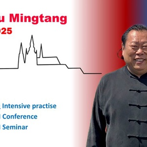 Master Xu Mingtang's Events in Prague in October 2025