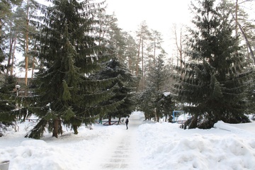 Дорога в столовую