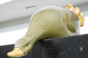 P1050492.jpg