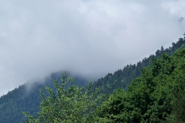 P1020571.JPG