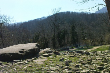 DSC02380.JPG