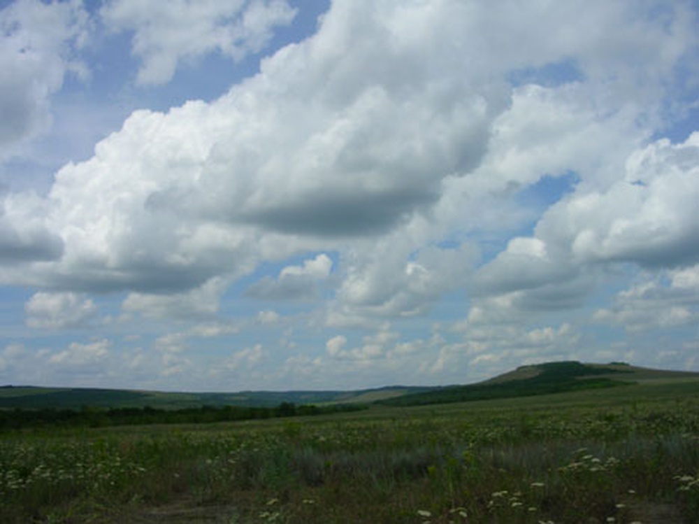 dscn3492.jpg