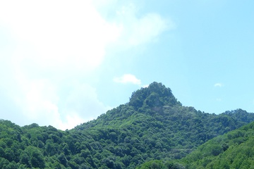 P1020335.JPG