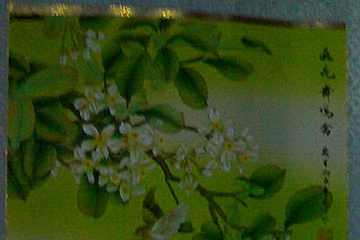 29082007332.jpg