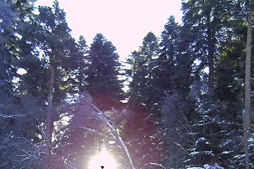 PICT0237.JPG