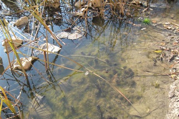 izobrazhenie_024_small.jpg
