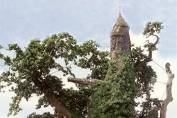 0trees_08.jpg