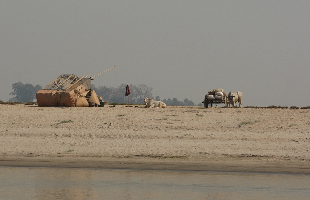 2f3t5126.jpg