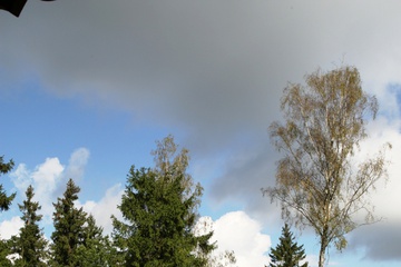 2F3T3559.JPG
