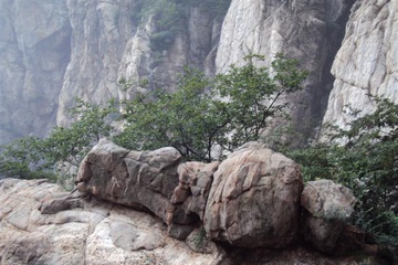 izobrazhenie_196_small.jpg