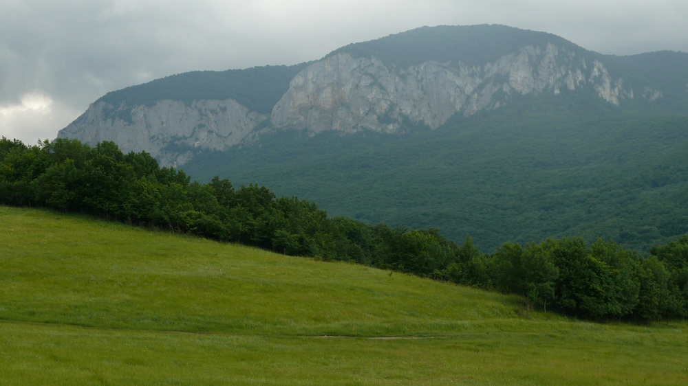 P1110355.JPG