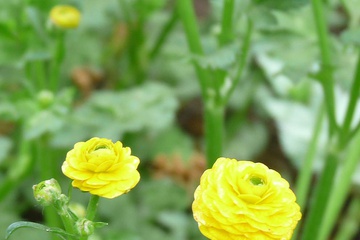 P1050829.JPG