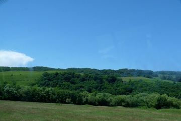 P1020314.JPG