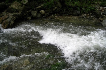 IMG_0088.JPG