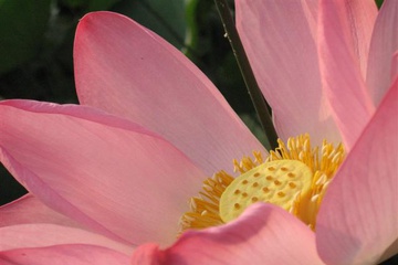 izobrazhenie_127_small.jpg
