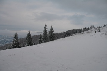 DSCF3129.jpg