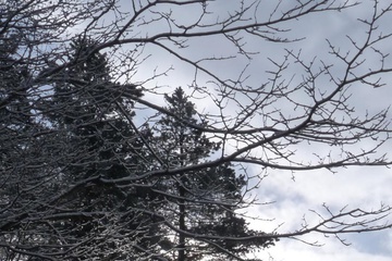 p1070793.jpg