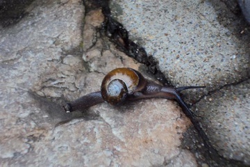 izobrazhenie_064_small.jpg