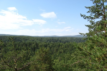 IMG_5031.JPG