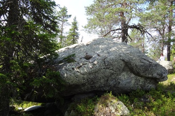 Один из Живых камней на таинственном месте  горы Воттоваара