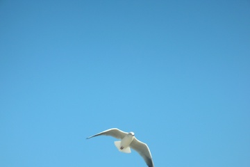DSCN6937.JPG