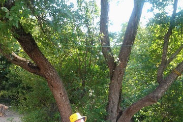 Рома в работе