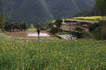 Деревня Хуан Ли Нин