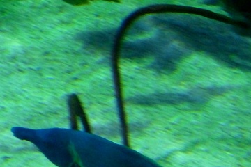 P1000424.JPG