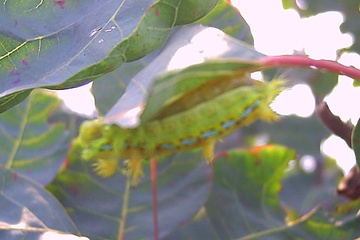 PICT0125.JPG