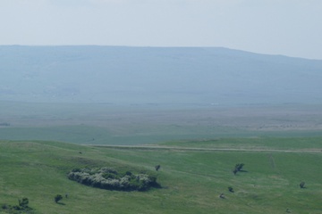 P1020011.JPG