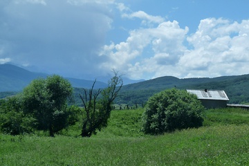 P1020319.JPG