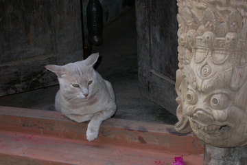 DSCN5180.JPG
