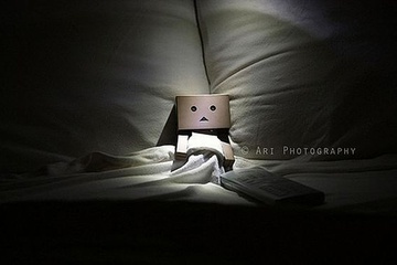 danboard_08.jpg