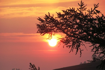 baykal_2007disk2_110-1.jpg