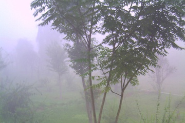 PICT0035.JPG