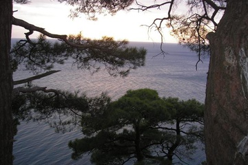 pa190134_small.jpg