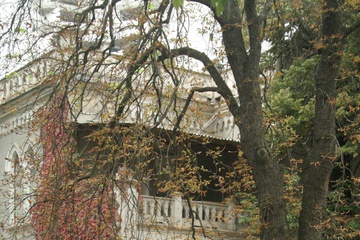 01.JPG