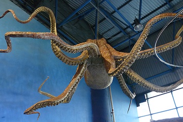 P1000323.JPG