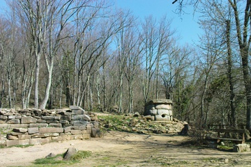 DSC02374.JPG