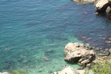dsc00927.jpg